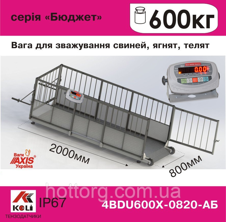 Ваги для свиней 4BDU600Х-0820-Б Бюджет