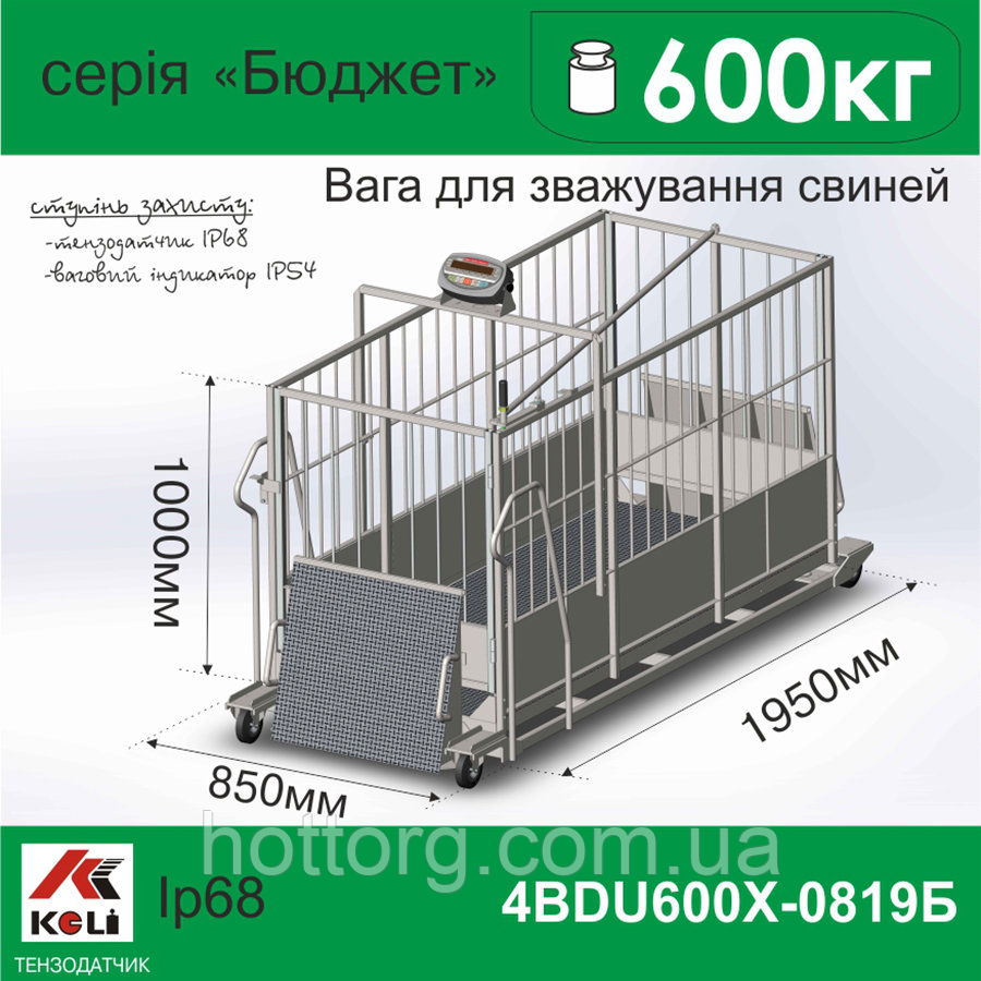 Ваги для свиней 4BDU600Х-0819-Б Бюджет, фото 1
