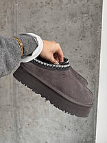 Зимові Жіночі Черевики UGG Tasman Platform Grey / УГГ Тасман Платформ Сірі, фото 4
