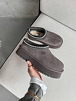 Зимові Жіночі Черевики UGG Tasman Platform Grey / УГГ Тасман Платформ Сірі, фото 3