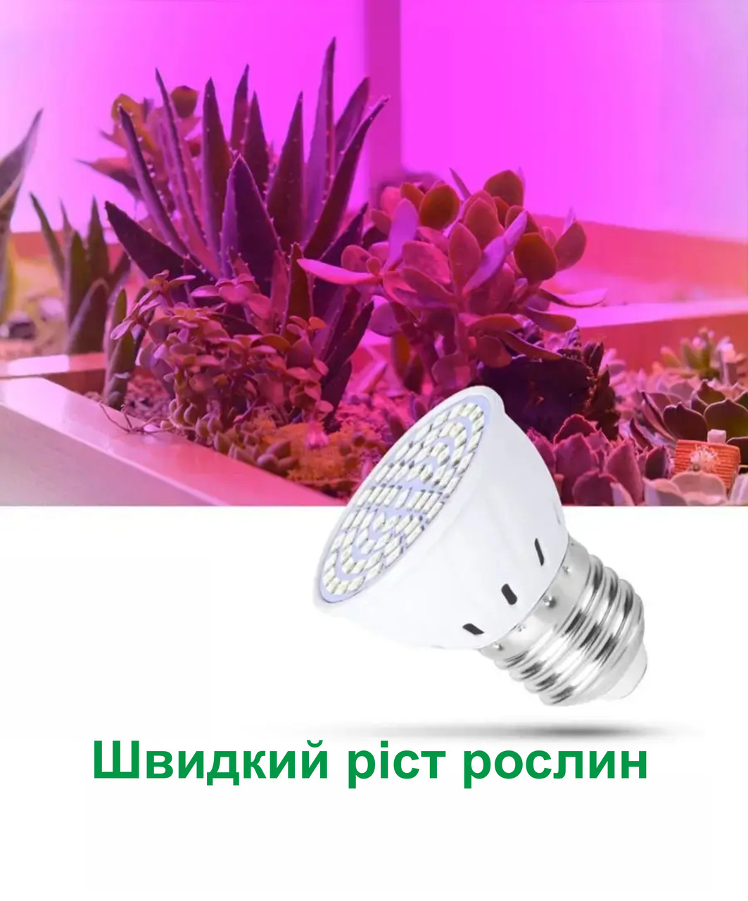 Фітолампа 60LED з цоколем E27 для підсвічування рослин  2.7Вт