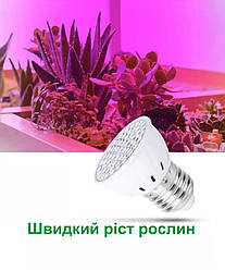 Фітолампа 60LED з цоколем E27 для підсвічування рослин  2.7Вт