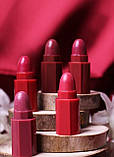 Набір помад у стику-тримачі Fit Colors 5in1 Lipstick, фото 2