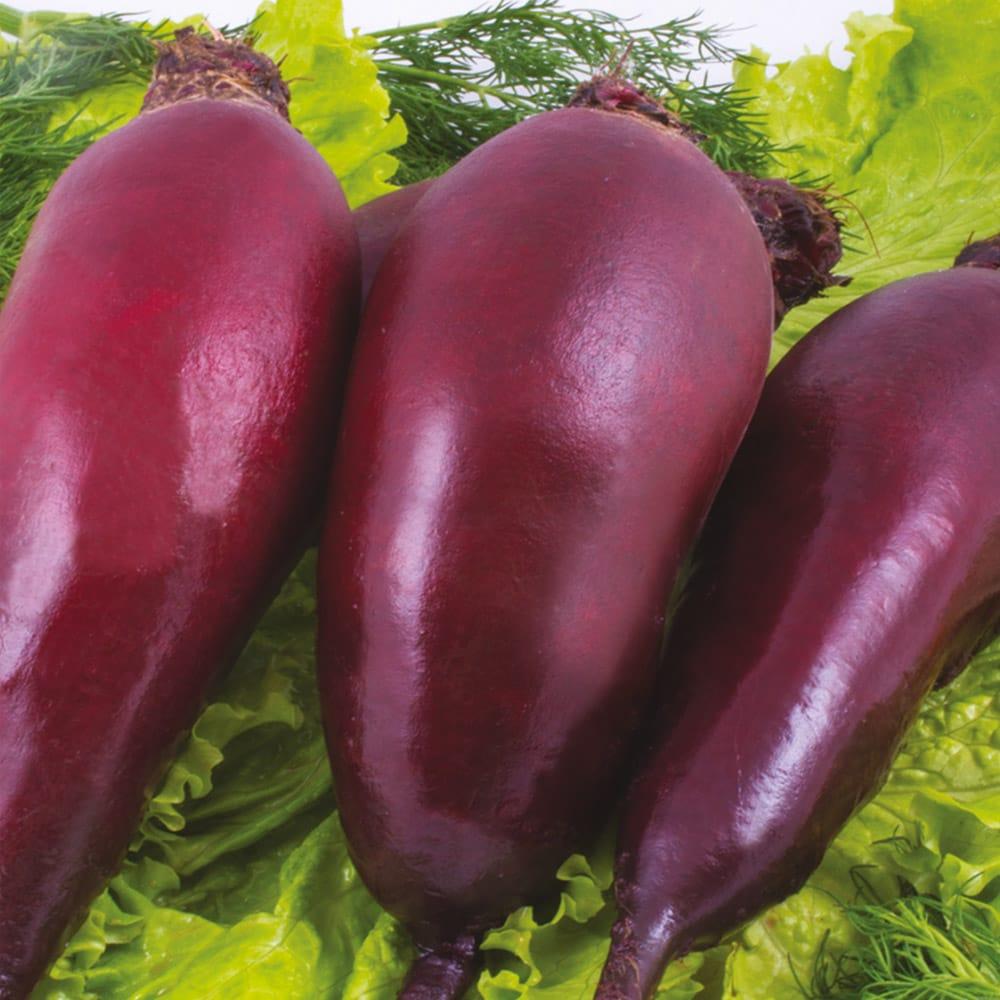 Насіння Буряка Циліндра на вагу, Агролінія