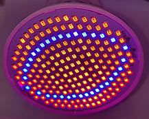 Фітолампа 200LED з цоколем E27 для підсвічування рослин 8,6Вт, фото 5
