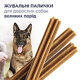 Клуб 4 Лапи Dental Sticks жувальні палички для дорослих собак великих порід 3шт 177г, фото 2