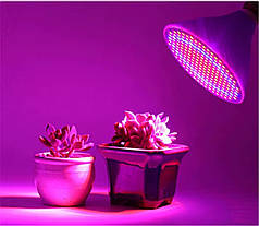 Фітолампа 300LED з цоколем E27 для підсвічування рослин  13.1Вт