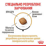 Royal Canin DOG Pomeranian Adult для дорослих собак породи Шпіц 1,5кг, фото 2