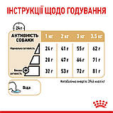Royal Canin DOG Pomeranian Adult для дорослих собак породи Шпіц 1,5кг, фото 6