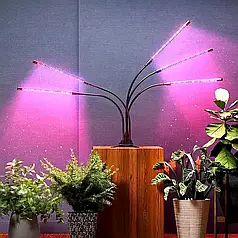 Фітолампа гнучка 50Вт з таймером, кліпсою, USB
