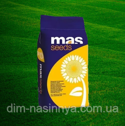Насіння соняшнику MAS 880.SU , MAS Seeds ( під Гранстар), фото 1