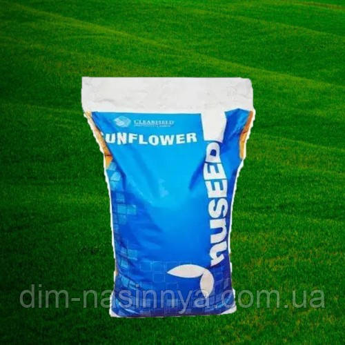 Насіння соняшнику Н4Х302 Е, Nuseed ( під Гранстар ), фото 1