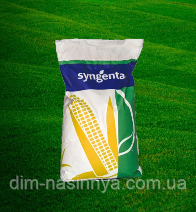 Насіння кукурудзи НК Кобальт, ФАО 320, Syngenta, фото 1