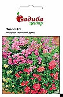 Антірінум Снеппі суміш F1, 20 шт., СЦ