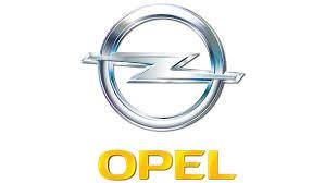 Автомобильные коврики для Opel
