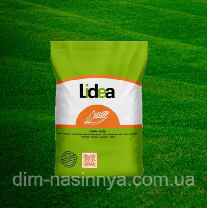 Насіння кукурудзи ЕС Хемінгуей, ФАО 280, Lidea, фото 1