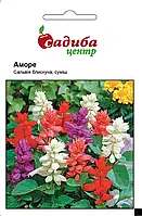 Сальвія Аморе суміш, 20 шт., СЦ