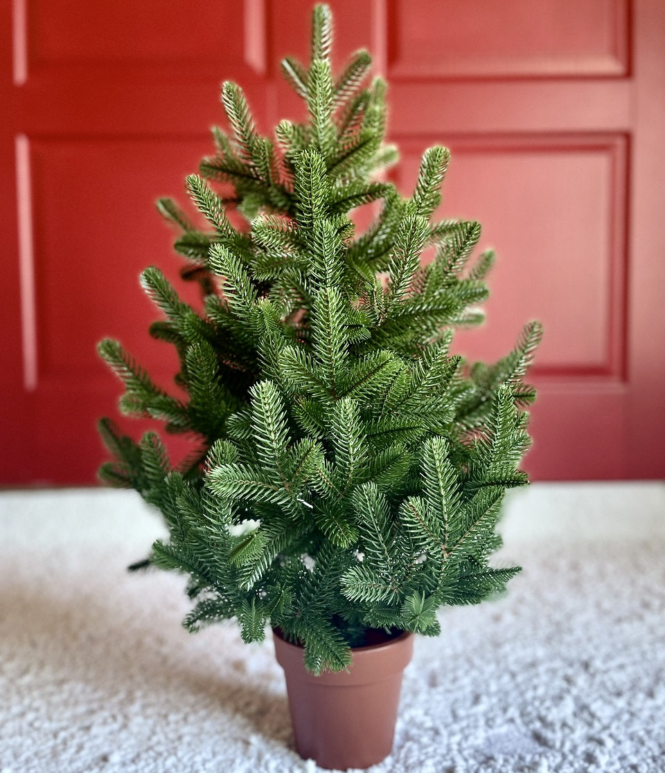 Ялинка Traditional лита в горщику 70 см зелена новинка, фото 1