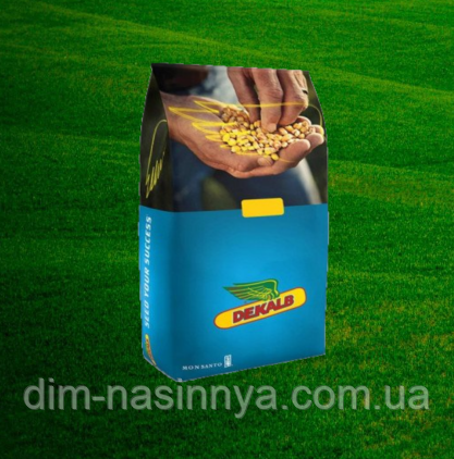 Насіння кукурудзи ДКС4608, ФАО 380, Monsanto (Dekalb), фото 1