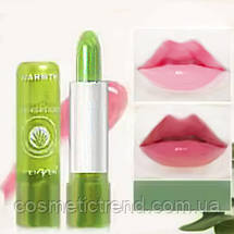 Зволожувальний бальзам для губ з алое вера Aloe Vera 99% Soothing Gel Lipstick 3,5 гр, фото 2