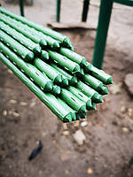 Опора для рослин 60см діам. 8мм. Agrario/Bradas металева покрита ПВХ, палиця для підв'язки помідорів, огірків