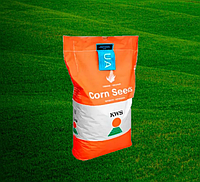 Насіння кукурудзи Карпатіс, ФАО 340, KWS