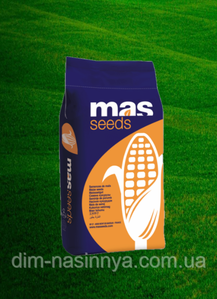 Насіння кукурудзи MAS 30.M, ФАО 310, MAS Seeds, фото 1