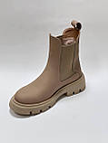 Зимові черевики челсі ТМ Teona 420 капучино, фото 2