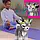 Інтерактивна іграшка FurReal Кізочка Дейзі Just Play furReal Daisy The Yoga Goat 28104, фото 6
