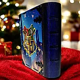 Скарбничка у вигляді книги з  гравіюванням на 365 днів "Ельфійська книга скарбів", фото 4