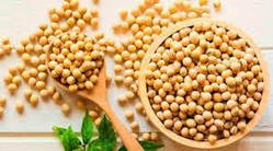 Насіння сої Канзас, Еліта (під Раундап)