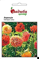 Гайлардія Лоренсія суміш, 0,2 г, СЦ
