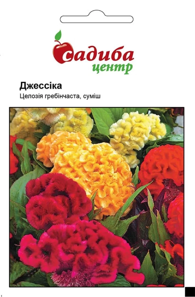 Целозія гребінчаста Джессіка суміш, 0,03 г, СЦ