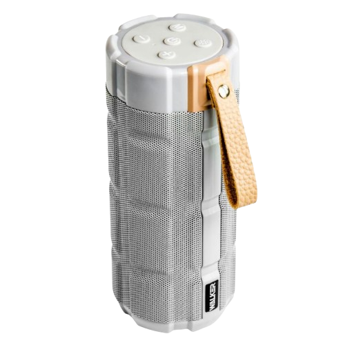 Портативна колонка сірий WALKER WSP-170