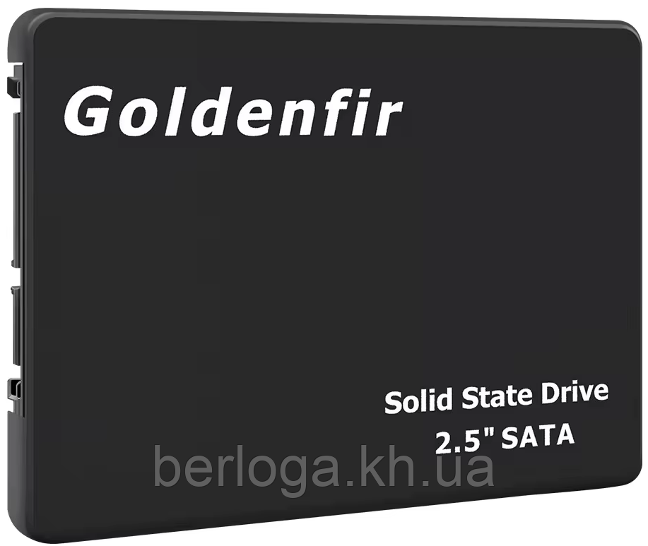 SSD накопичувач Goldenfir 480Gb
