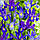 Ірис Голландський Discovery Purple 10/+, фото 4