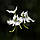 Поводник (Habenaria) Aoba, фото 3
