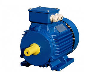 Електродвигун АІР 100 S2 | 4 кВт 3000 об./хв