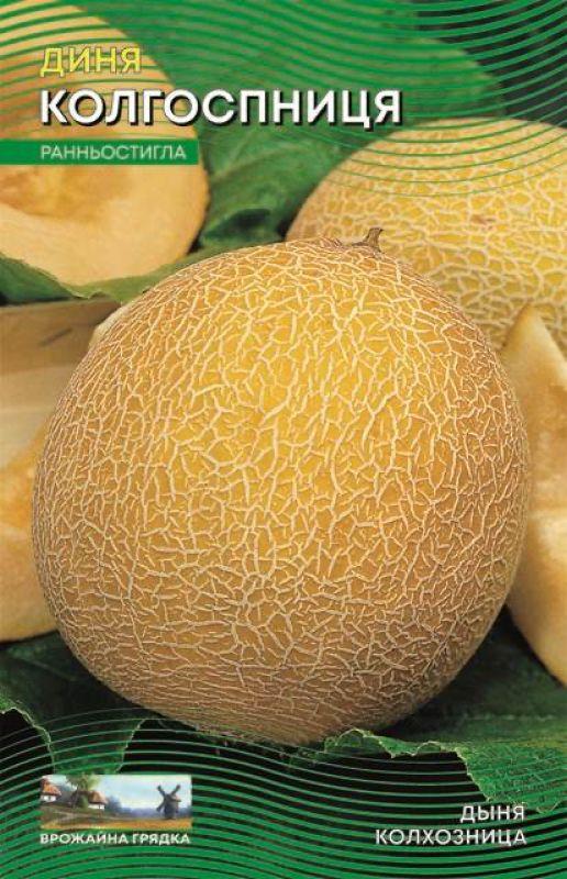Насіння Диня Колгоспниця 5г, ТМ Урожай, фото 1