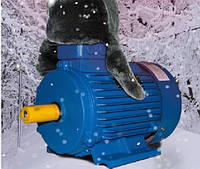 Огляд кліматичних виконань електродвигунів: Який тип підходить для умов України?