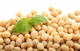 Насіння сої Хайстар, Еліта, фото 1