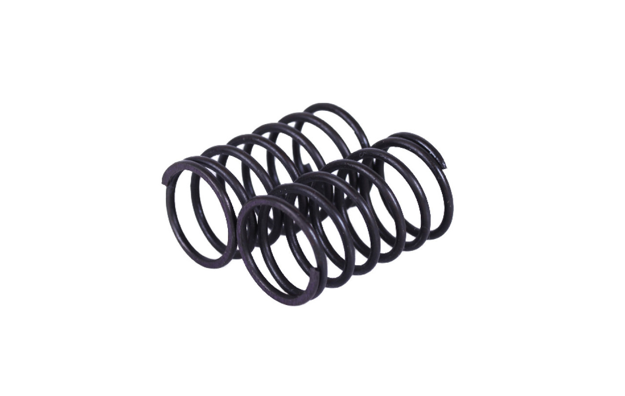 Пружини клапанів TATA на бензиновий двигун P70F (ZS), фото 1