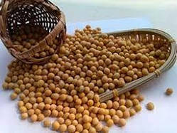 Насіння сої PS 0035 NR2, Еліта