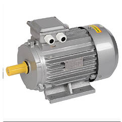 Електродвигун АІР 112MA6 — 3.0 кВт 1000 об./хв