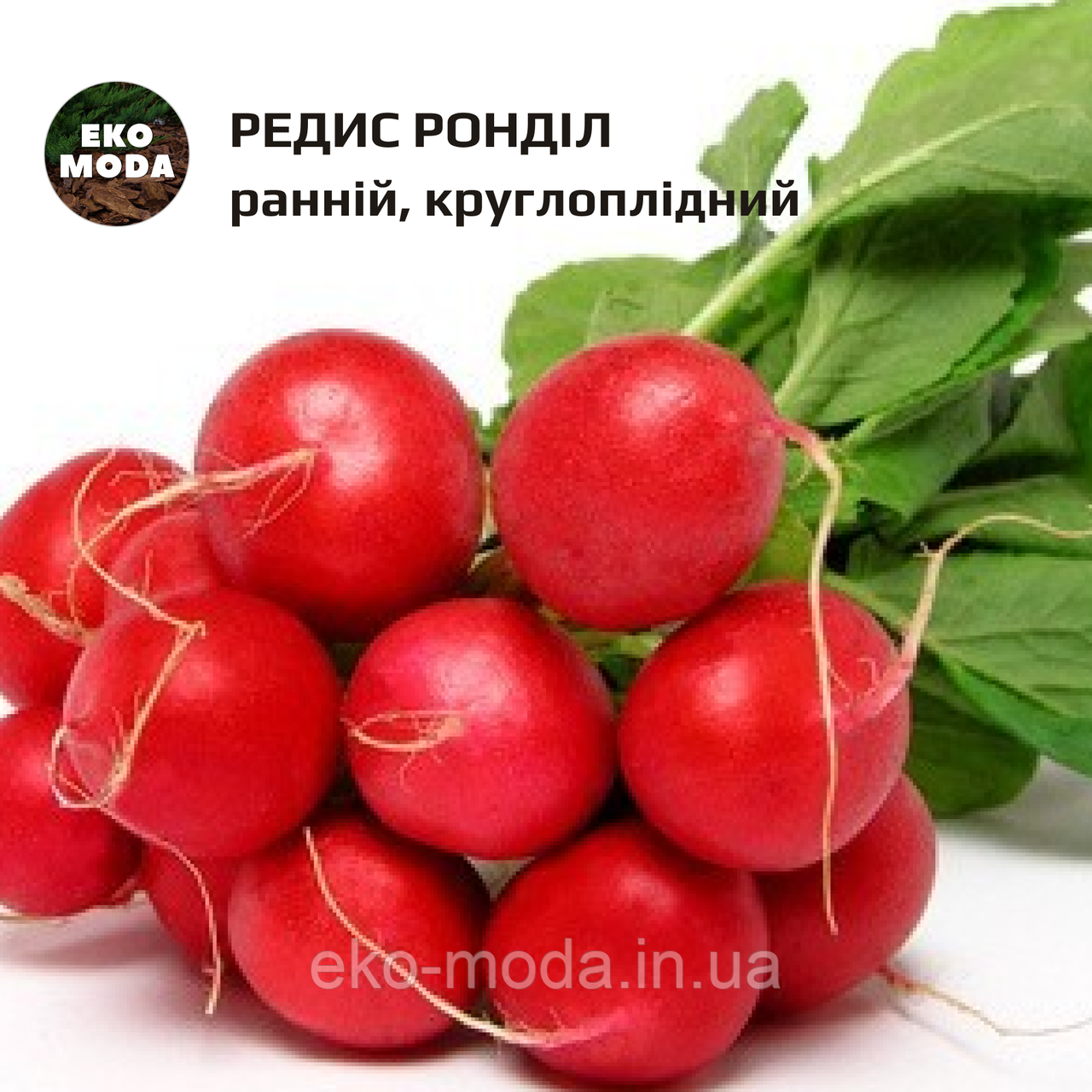 Редис Ронділ - ранній, круглоплідний - (2 г zip-пакет)