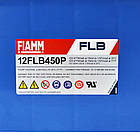 Тягова акумуляторна батарея AGM FIAMM high performance 12V 120Ah (12FLB450P), фото 3
