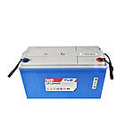 Тягова акумуляторна батарея AGM FIAMM high performance 12V 120Ah (12FLB450P), фото 5