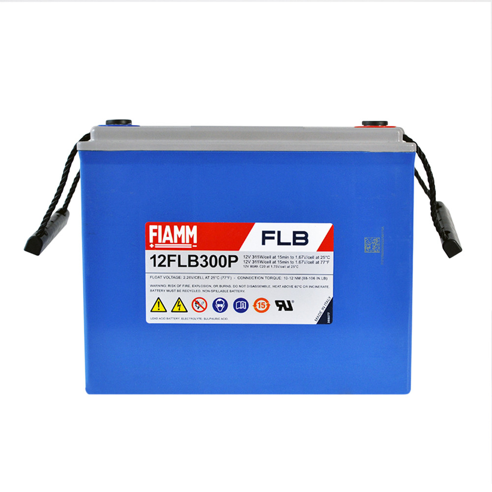 Тягова акумуляторна батарея AGM FIAMM high performance 12V 80Ah (12FLB300P), фото 1