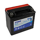 Мото акумулятор EXIDE AGM ETX 14L-BS 12V 12Ah 200А R+ ETX14L-BS, фото 2
