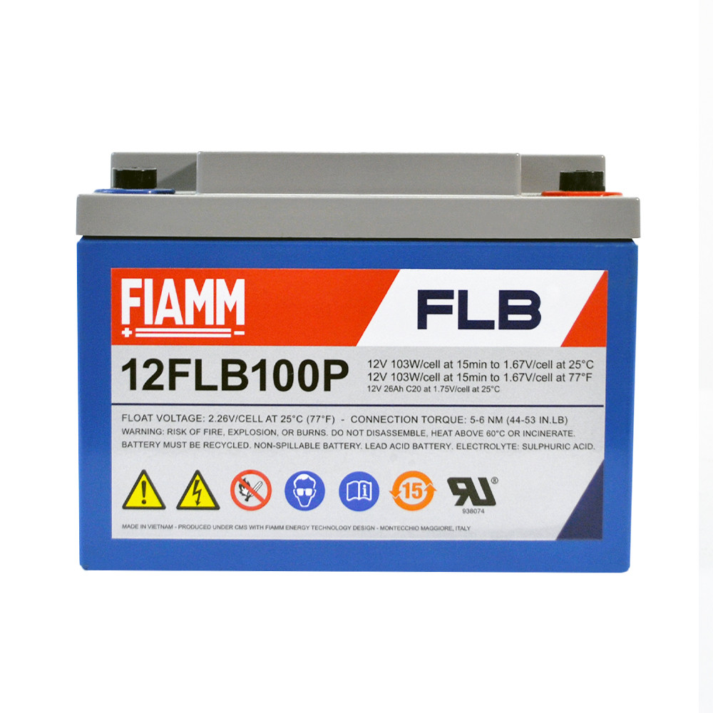 Тягова акумуляторна батарея AGM FIAMM high performance 12V 26Ah (12FLB100P), фото 1